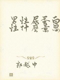 男性尿蛋白弱阳性什么意思