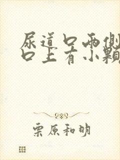 尿道口两侧阴道口上有小颗粒