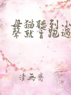 母猫听到小猫叫声就会跑过去