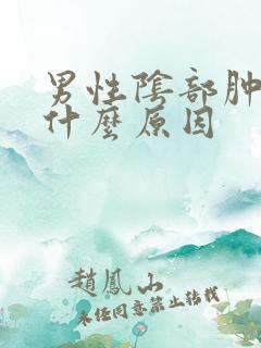 男性阴部肿痛是什么原因