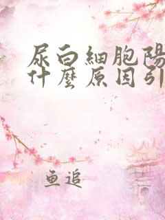 尿白细胞阳性是什么原因引起的?