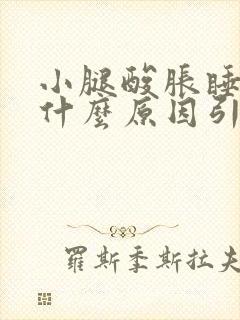 小腿酸胀睡不着什么原因引起的