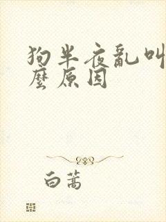 狗半夜乱叫是什么原因