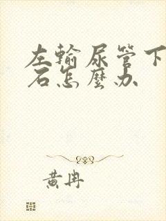 左输尿管下段结石怎么办