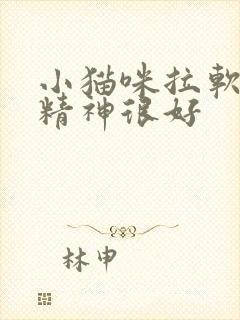 小猫咪拉软便但精神很好