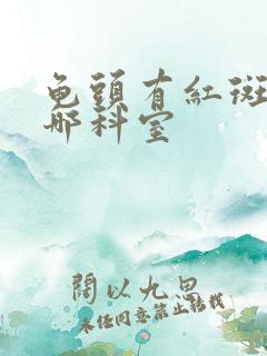 龟头有红斑是挂哪科室