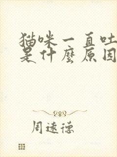 猫咪一直吐黄水是什么原因