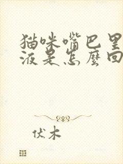 猫咪嘴巴里流粘液是怎么回事