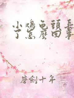 小鸡龟头长疙瘩了怎么回事