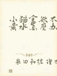 小猫食欲不振吐黄水怎么办