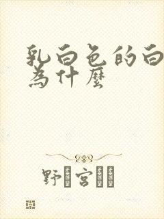 乳白色的白带是为什么