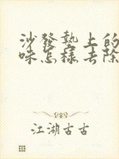 沙发垫上的猫尿味怎样去除