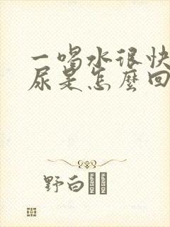 一喝水很快就想尿是怎么回事