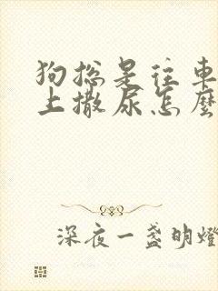 狗总是往车轮胎上撒尿怎么办