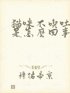 猫咪不吃吐黄水是怎么回事