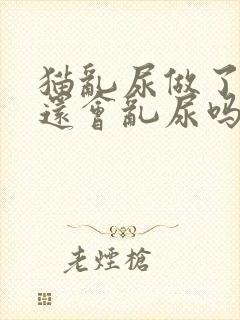 猫乱尿做了绝育还会乱尿吗