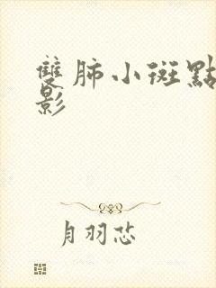 双肺小斑点结节影