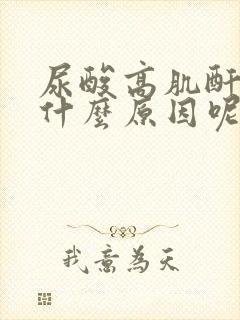 尿酸高肌酐高是什么原因呢