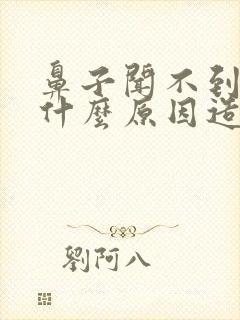 鼻子闻不到味是什么原因造成的