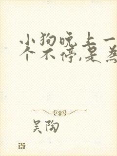 小狗晚上一直叫个不停,是为什么?