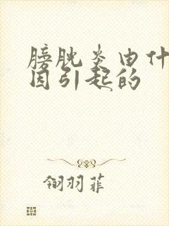 膀胱炎由什么原因引起的