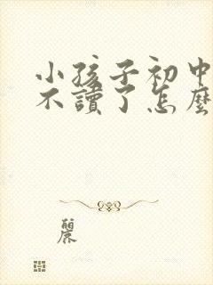 小孩子初中读完不读了怎么办