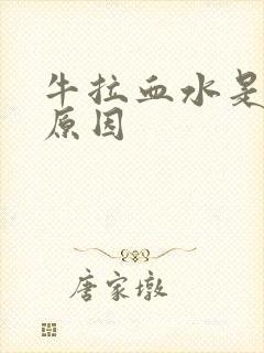 牛拉血水是什么原因