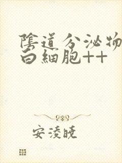 阴道分泌物检查白细胞++