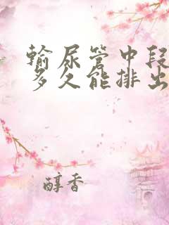 输尿管中段结石多久能排出