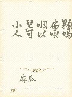 小儿咽扁颗粒大人可以吃吗