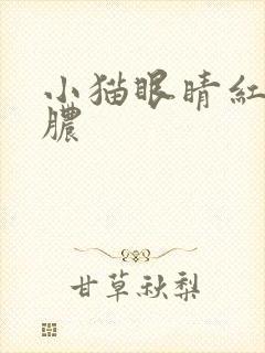 小猫眼睛红肿流脓