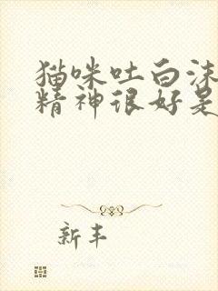 猫咪吐白沫但是精神很好是怎么回事