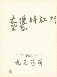 大便时肛门有撕裂感