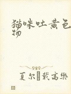 猫咪吐黄色呕吐物