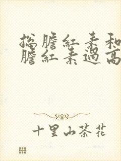 总胆红素和间接胆红素过高