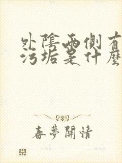 外阴两侧有白色污垢是什么