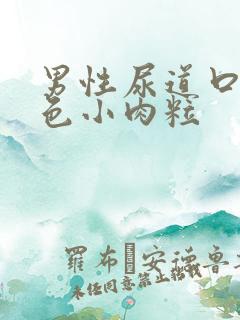 男性尿道口有白色小肉粒