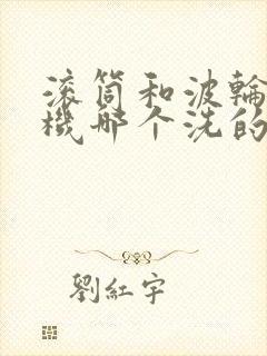 滚筒和波轮洗衣机哪个洗的干净