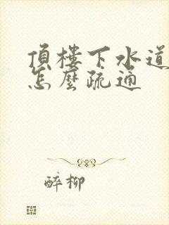 顶楼下水道堵了怎么疏通