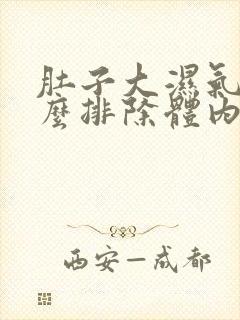 肚子大湿气重怎么排除体内湿气