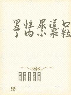 男性尿道口上长了肉小米粒