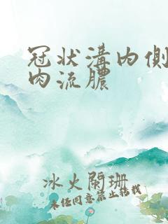 冠状沟内侧有小肉流脓