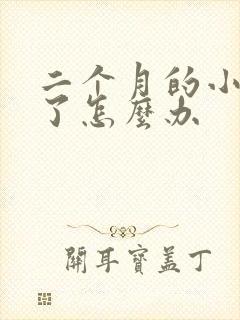 二个月的小狗吐了怎么办