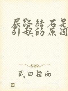 尿路结石是怎么引起的原因