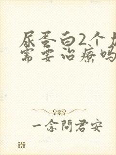 尿蛋白2个加号需要治疗吗