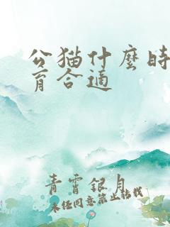 公猫什么时候绝育合适