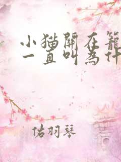 小猫关在笼子里一直叫为什么