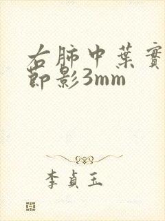 右肺中叶实性结节影3mm