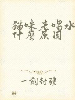 猫咪老喝水尿频什么原因