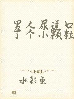 男人尿道口内长了个小颗粒